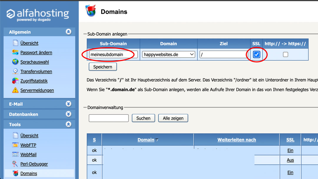 Screenshot Alfahosting Confixx-Bereich und Domain-Tool